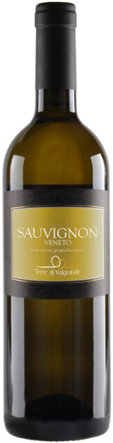 sauvignon